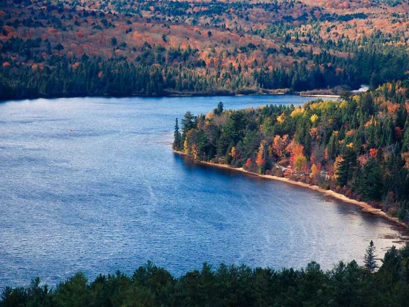 污水什么情況下氨氮比總氮高