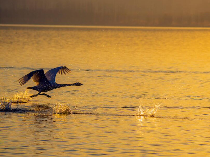 水產(chǎn)養(yǎng)殖水質(zhì)檢測儀說明書
