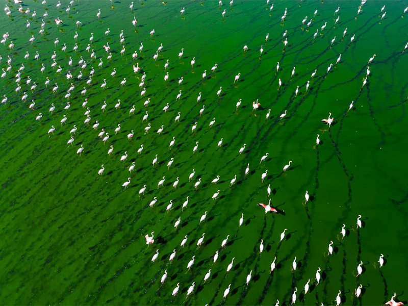 氨氮總氮檢測(cè)儀類(lèi)型（氨氮總氮檢測(cè)儀適用場(chǎng)景）