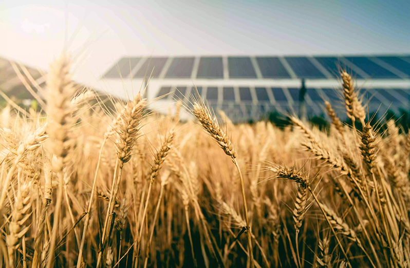 1608771888599841.jpg src=http___mmbiz.qpic.cn_mmbiz_jpg_IHQZPe7la6z5KGgecbia1obuZ4HhKOQkJ7iaicmJ0U7Up5TSmMicYib7BkeWo8kNfTRKMiaJZ5QnNwHDZBpBcZUMpB6Q_0_wx_fmt=jpeg&refer=http___mmbiz.qpic.jpg