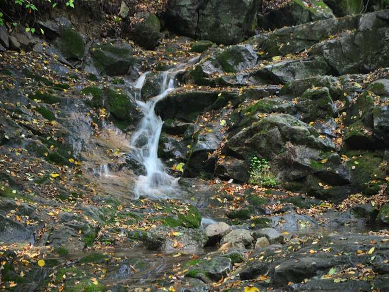 霍爾德余氯分析儀，可用于水源保護(hù)工作